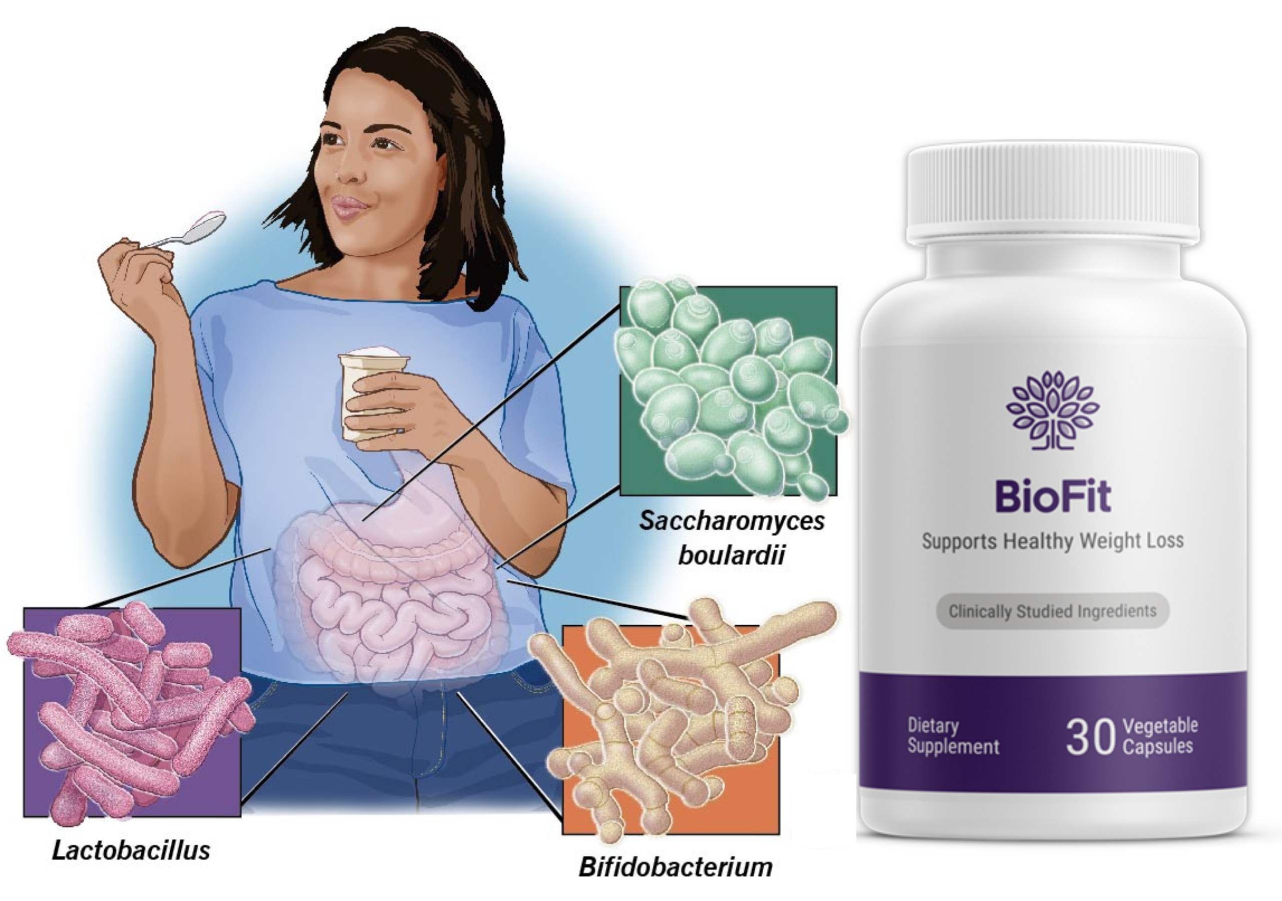 BioFit Ingredients Side effects