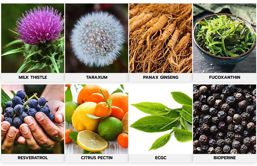 does ikaria lean belly juice really work