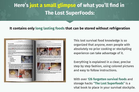 Is The Lost Superfoods Book Scam? Honest User Reports 4 the lost superfoods book scam