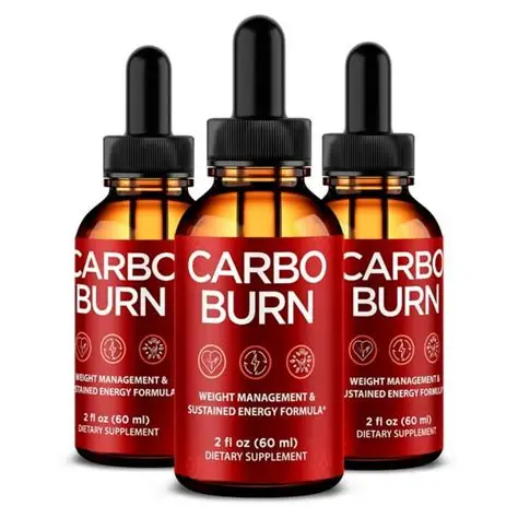 CarboBurn