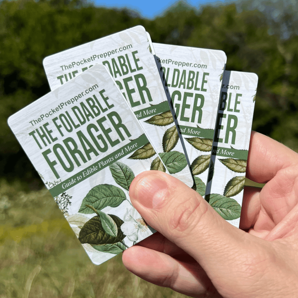 Is The Foldable Forager a Scam or Legit? Foraging Guide Reviews 2 The Foldable Forager