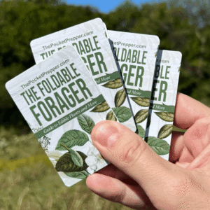 The Foldable Forager